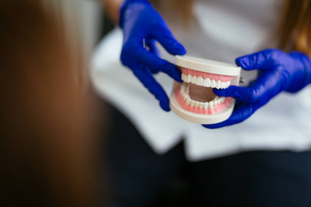 Best Traditional Braces  in Urbana, IL